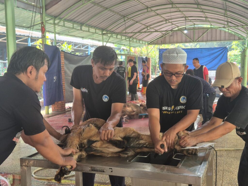 Pemotongan Hewan Qurban SMPIA 22 Sentra Primer